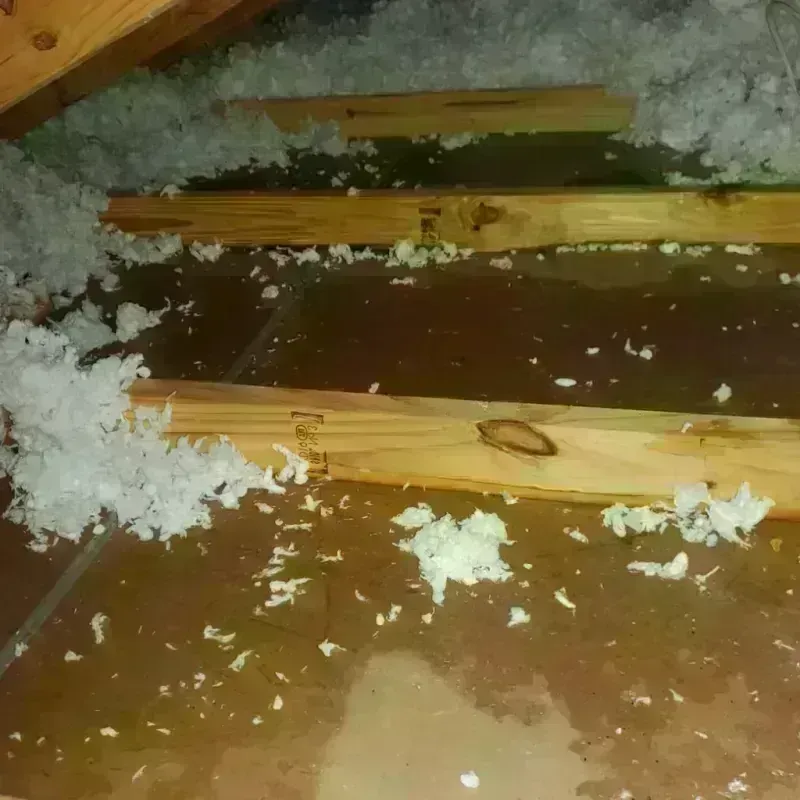 Attic Water Damage in Glenville, CT